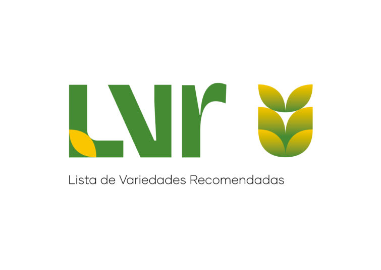 01_LVR