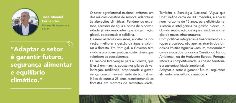 Jose_Manuel_Fernandes