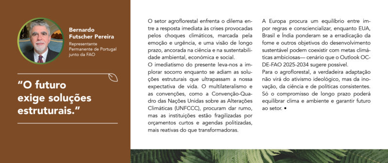 Bernardo_F_Pereira