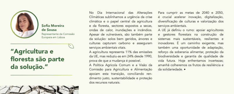 Sofia_Moreira_Sousa