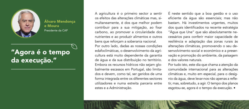 Alvaro_Mendonca_Moura