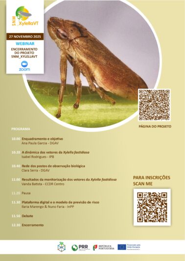 Evento final Xylella
