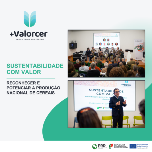 2025_+VALORCER_50Post