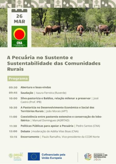 Cartaz