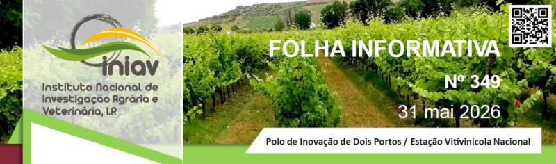 IMIAV_folha informativa_maio