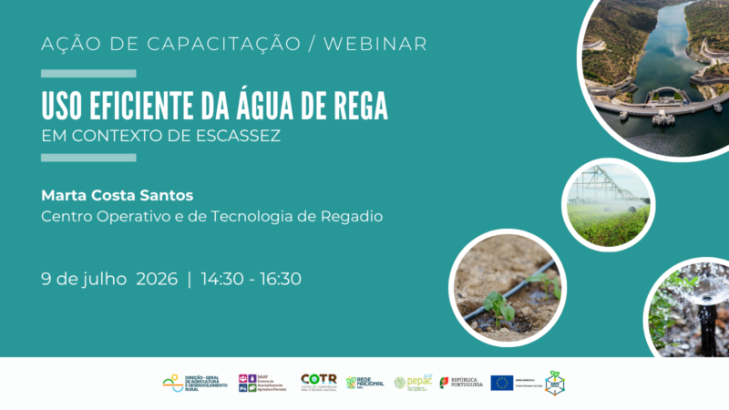 Cartaz - webinar uso eficiente da água de rega
