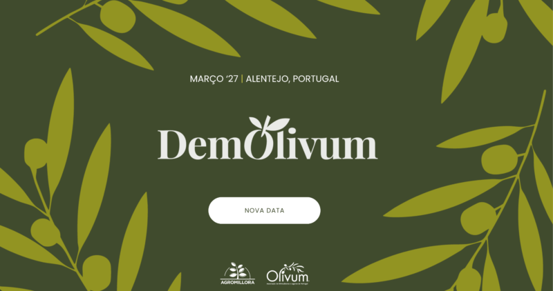 Save the Date_PT