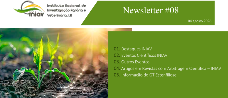 Newsletter_Externa_08_2026