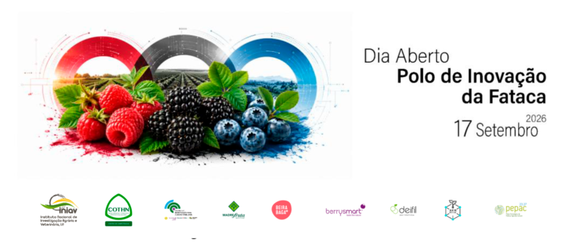 Programa Dia Aberto Polo