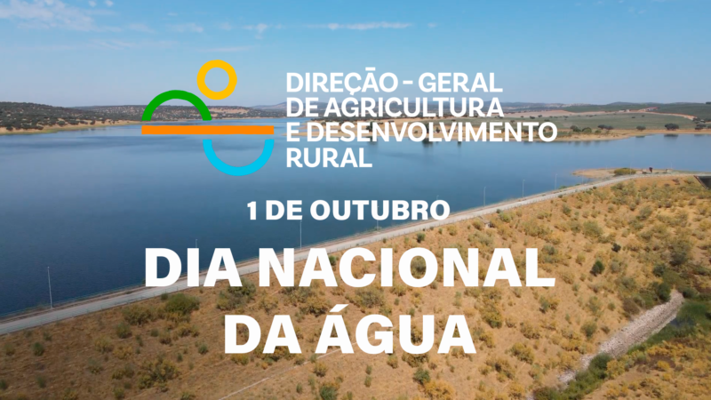 Sem Título-2