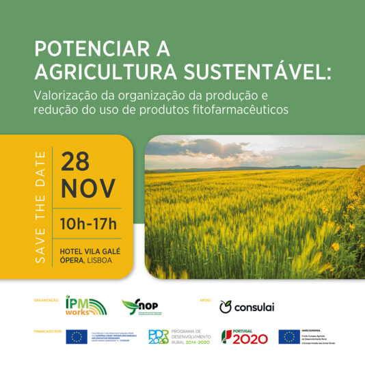 seminario_ipmworks+fnop_03