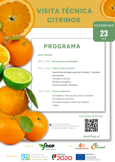 Visita de Campo_Citrinos_img