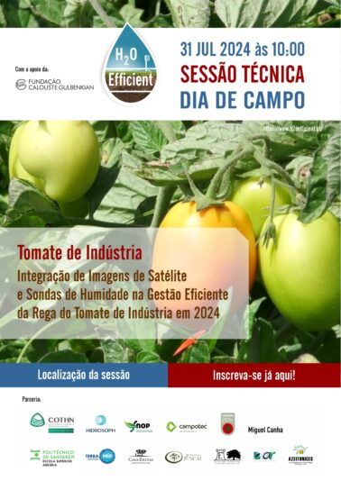 Sessão técnica tomate de indústria