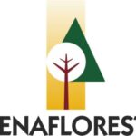 Foto de perfil FENAFLORESTA