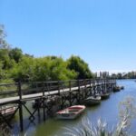 Foto de perfil AnaBarroso