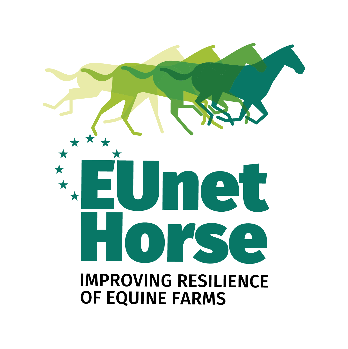 EUNetHorse – PT Horse AKIS